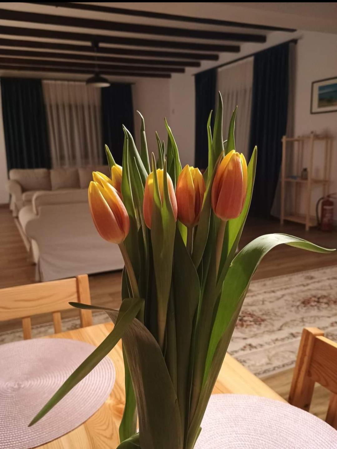Family House Pristol Apartment Luaran gambar